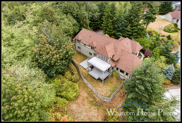 Aerial view of the backyard